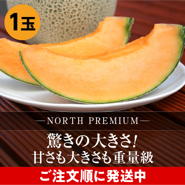 富良野メロン NORTH PREMIUM 約2.3kg 1玉