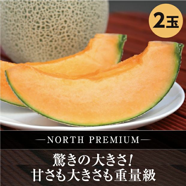 富良野メロン NORTH PREMIUM 約2.3kg 2玉