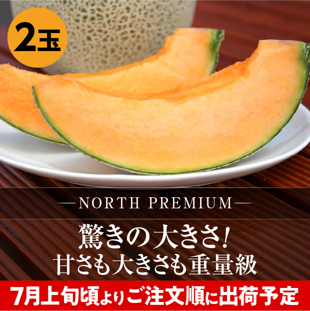 富良野メロン NORTH PREMIUM 約2.3kg 2玉