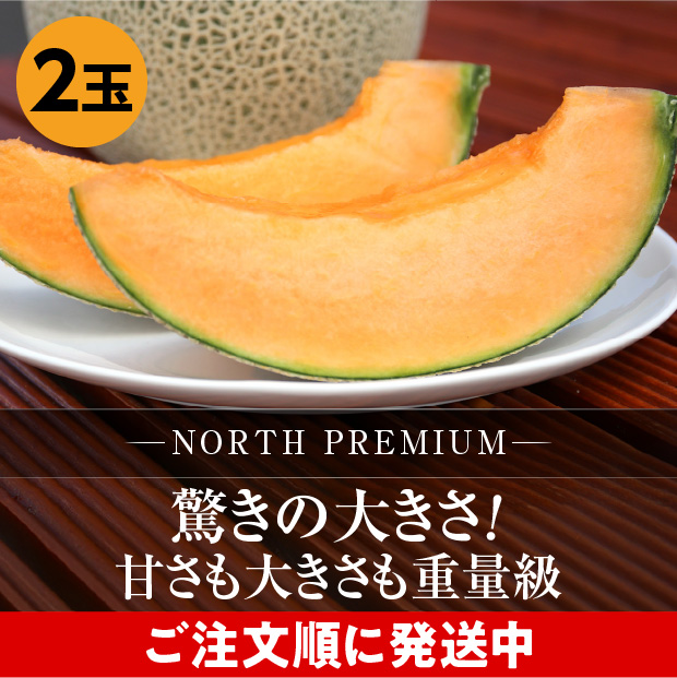 富良野メロン NORTH PREMIUM 約2.3kg 2玉