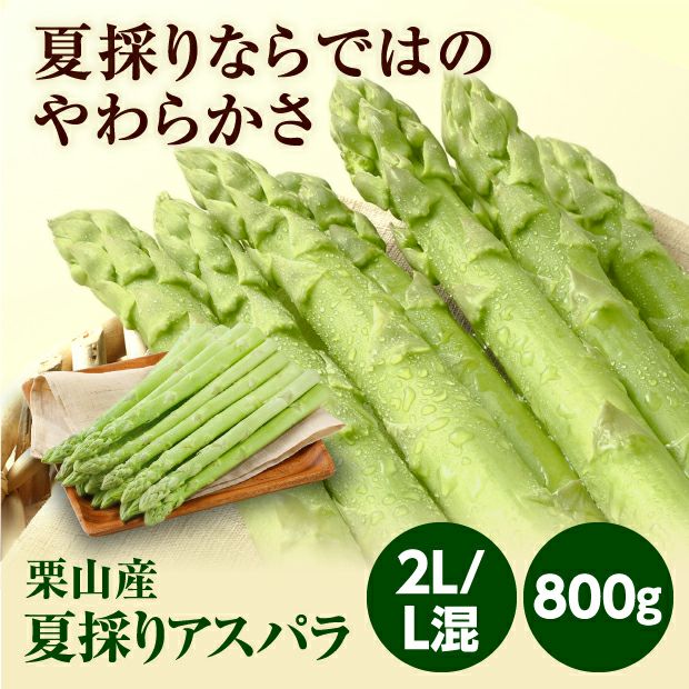 栗山産 夏採りアスパラ 2L/L混 800g