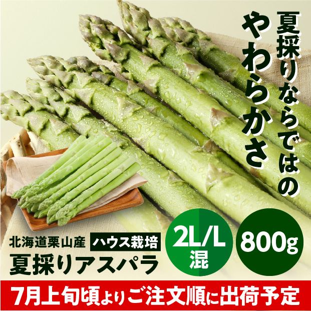 栗山産 夏採りアスパラ 2L/L混 800g
