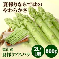 栗山産 夏採りアスパラ 2L/L混 800g