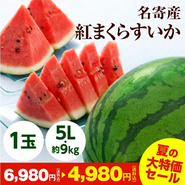 名寄産 紅まくらすいか 5L（約9kg） 1玉