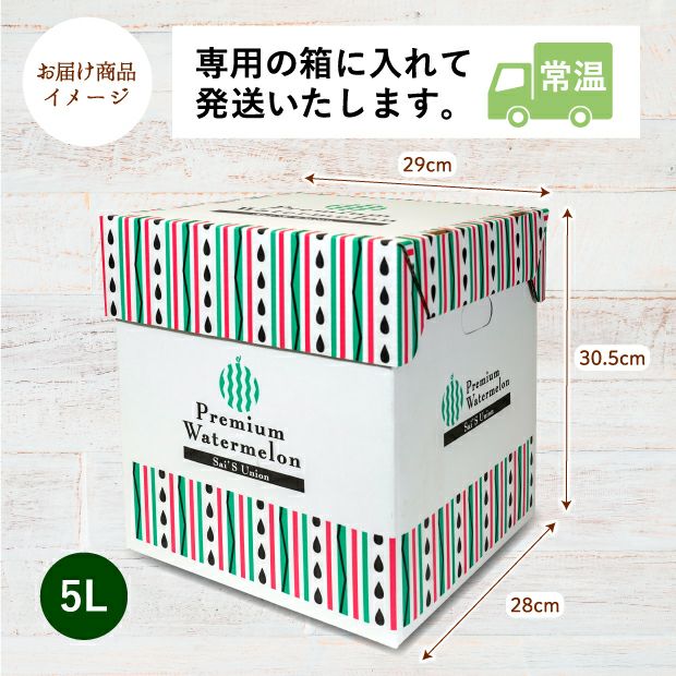 名寄産 紅まくらすいか 5L（約9kg） 1玉