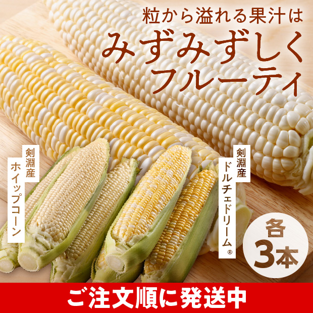 剣淵産 ドルチェドリーム＆ホイップコーン
