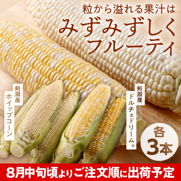 剣淵産 ドルチェドリーム＆ホイップコーン