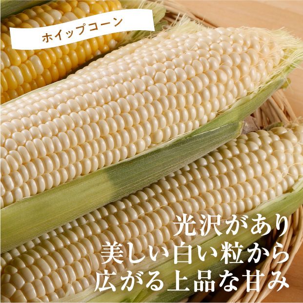 剣淵産 ドルチェドリーム・ホイップコーン各3本｜食べレア北海道