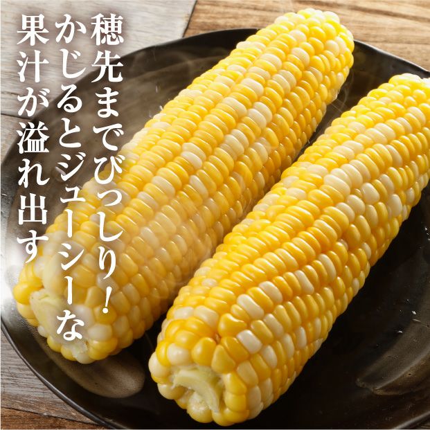 十勝幕別産ドルチェドリーム｜10本 5kg スイートコーン とうもろこし