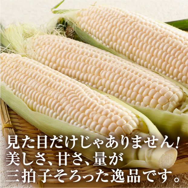 十勝幕別産 雪の妖精 10本(5kg)