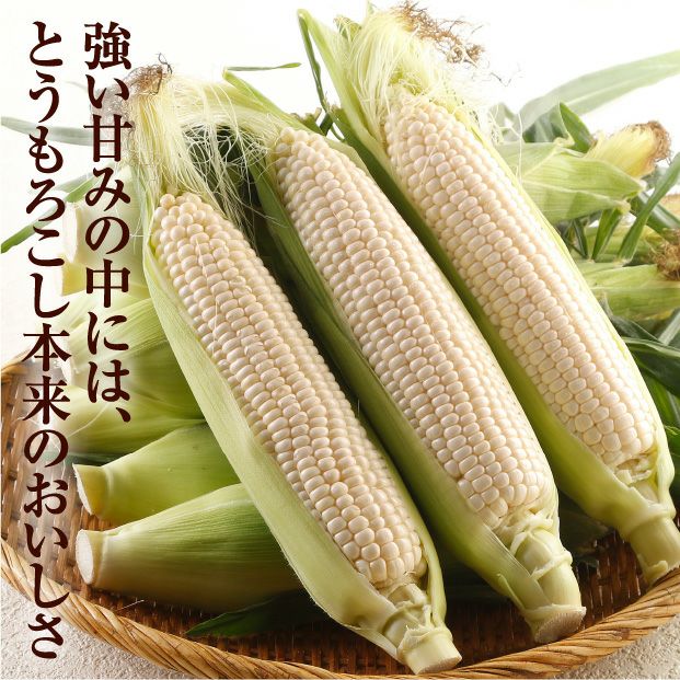 十勝幕別産 雪の妖精 10本(5kg)