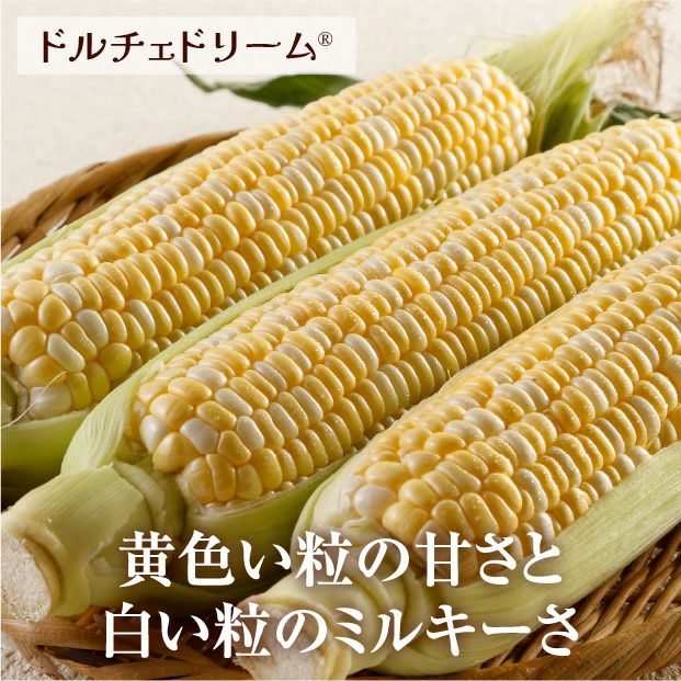 十勝幕別産 ドルチェドリーム＆雪の妖精 セット