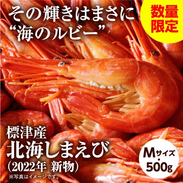 標津町産 北海しまえび Mサイズ 500g (2022年新物)