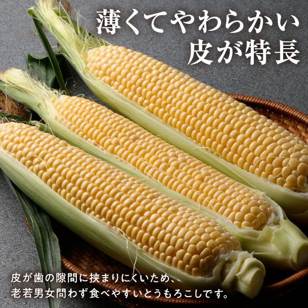 スイートコーン】※ご確認 【公式通販】