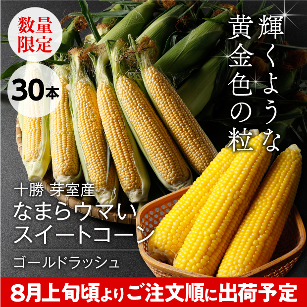 なまらウマいスイートコーン（ゴールドラッシュ） 30本入