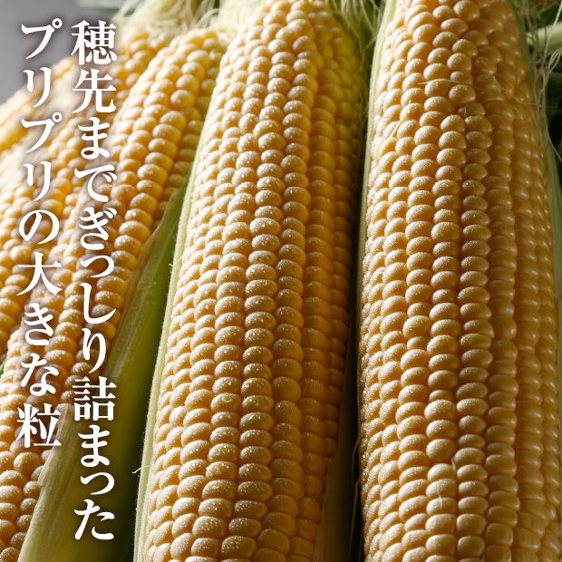 なまらウマいスイートコーン（ゴールドラッシュ） 30本入