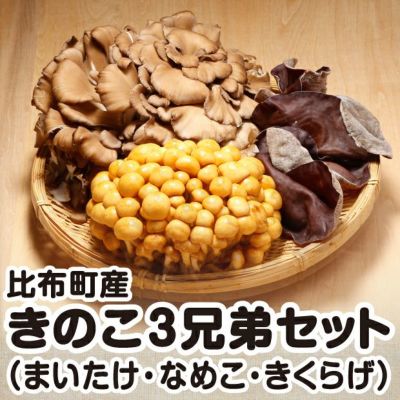 熟成培養生しいたけ 極茸1kg 釧路 上尾幌きのこ生産協同組合