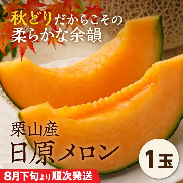 栗山産　日原メロン（赤肉）　約1.6㎏　1玉