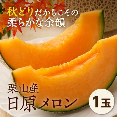 栗山産 日原メロン 秀品 約1.6kg・1玉 | 食べレア北海道 - 北海道の