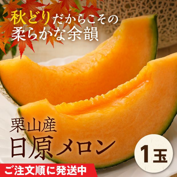 栗山産　日原メロン（赤肉）　約1.6㎏　1玉