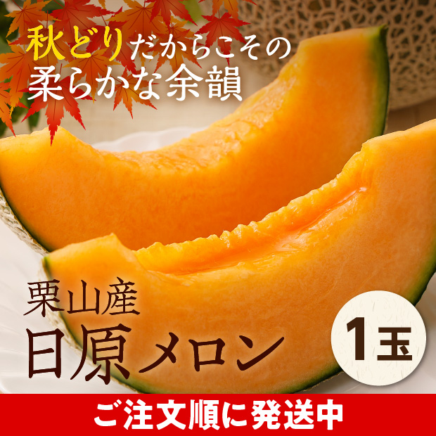 栗山産　日原メロン（赤肉）　約1.6㎏　1玉