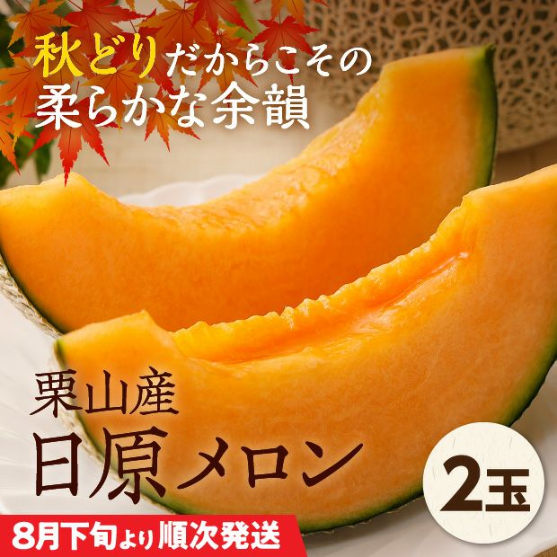 栗山産　日原メロン（赤肉）　約1.6㎏　2玉