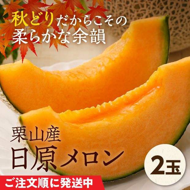 栗山産　日原メロン（赤肉）　約1.6㎏　2玉