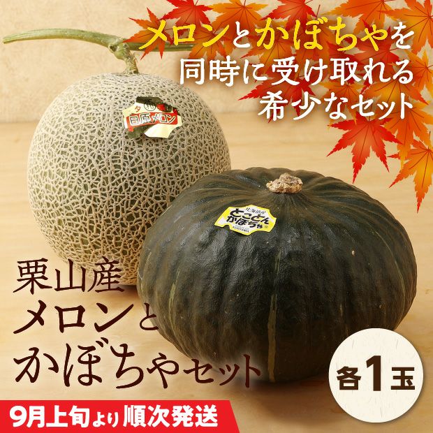 栗山産　メロンとかぼちゃセット　各1玉
