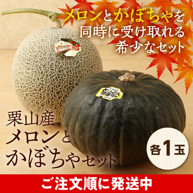栗山産　メロンとかぼちゃセット　各1玉