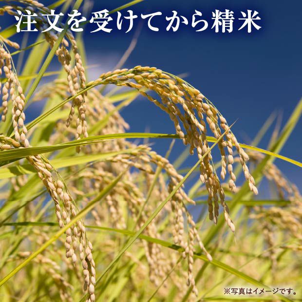 楽天市場】【ふるさと納税】令和7年産！新米予約 五つ星お米マイ