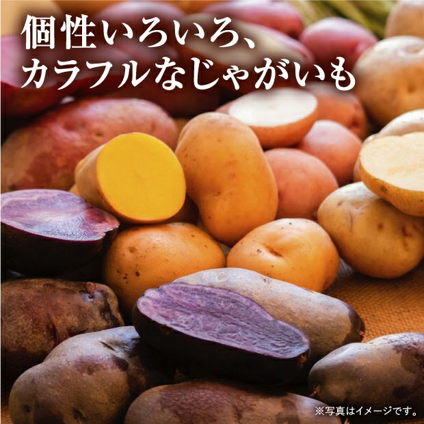 けんぶちVIVAマルシェ　じゃがいも5種食べ比べセット　5㎏