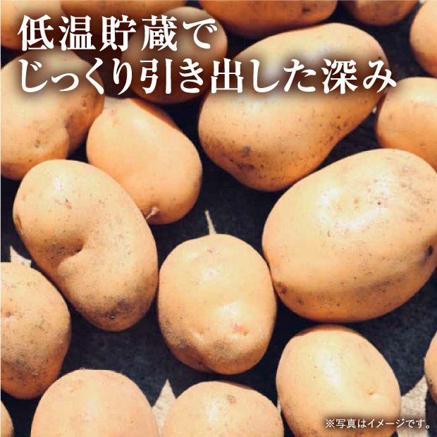 食べレア限定】【数量限定】剣淵産 じゃがいも10種 食べ比べセット