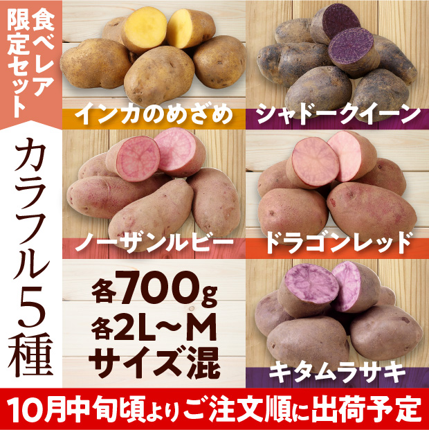 けんぶちVIVAマルシェ　カラフルじゃがいも種セット　3.5㎏