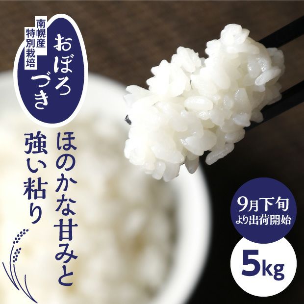 南幌産 特別栽培 おぼろづき 5kg