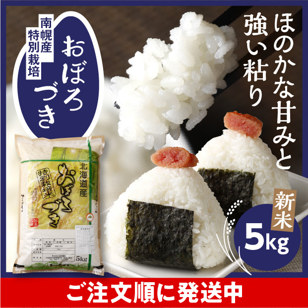 南幌産 特別栽培 おぼろづき 5kg