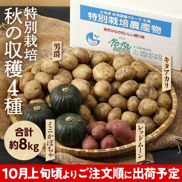 特別栽培 秋の収穫4種セット（3種のじゃがいもとミニかぼちゃセット）