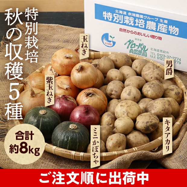 特別栽培 秋の収穫5種セット（じゃがいも・玉ねぎ・ミニかぼちゃセット）