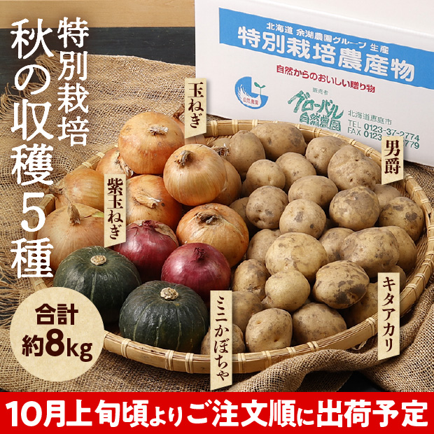 特別栽培 秋の収穫5種セット（じゃがいも・玉ねぎ・ミニかぼちゃセット）