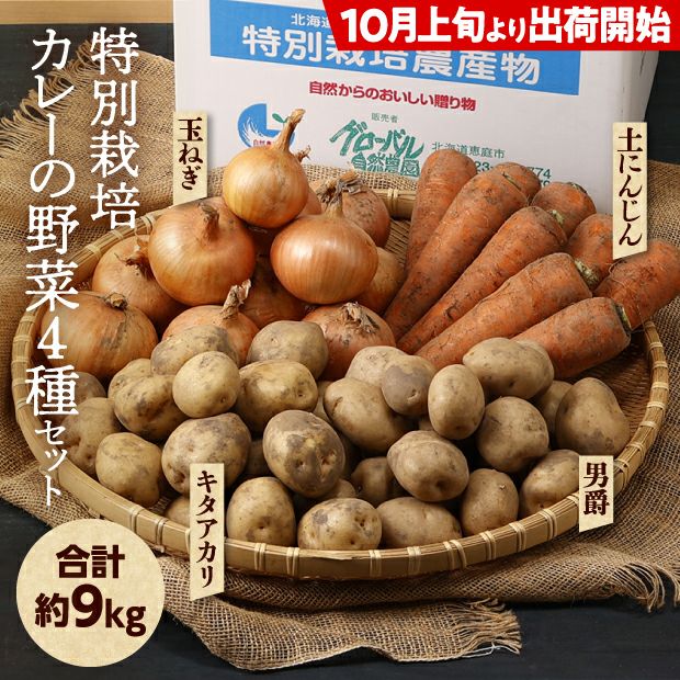 最新情報 じゃがいも・玉ねぎ・にんじん詰め合わせ 野菜セットB