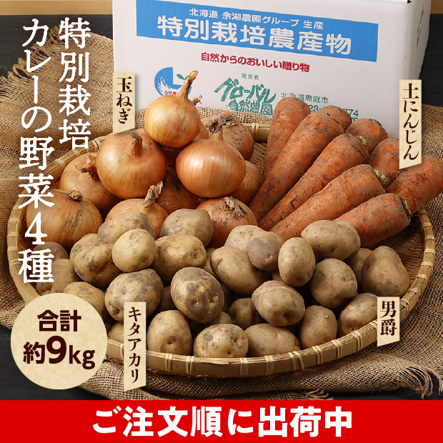 特別栽培 カレーの野菜4種セット（2種のじゃがいもと玉ねぎ・にんじんセット）