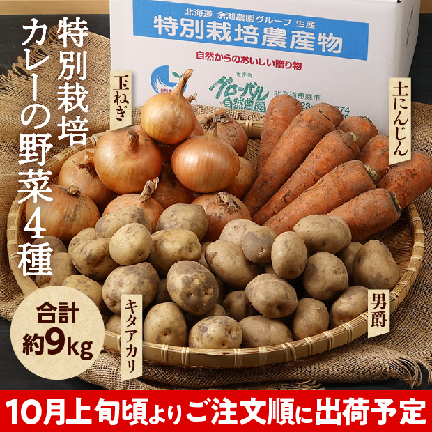 特別栽培 カレーの野菜4種セット（2種のじゃがいもと玉ねぎ・にんじんセット）