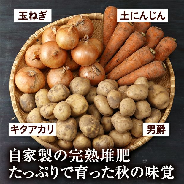 特別栽培 カレーの野菜4種セット（2種のじゃがいもと玉ねぎ・にんじんセット）