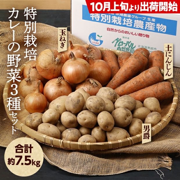 特別栽培 カレーの野菜3種セット（じゃがいも・玉ねぎ・にんじんセット） 食べレア北海道  北海道の物産の「レア」な魅力を全国に発信するお取り寄せ通販サイト