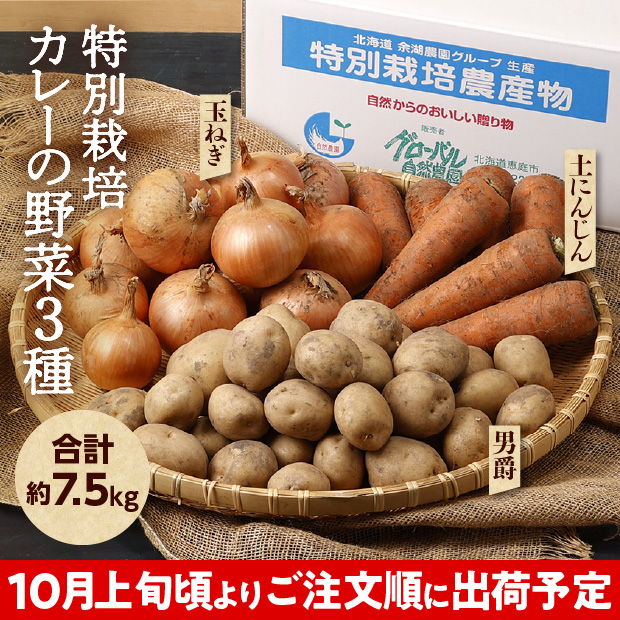 特別栽培 カレーの野菜3種セット（じゃがいも・玉ねぎ・にんじんセット）