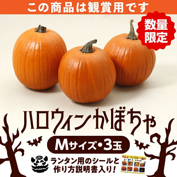 村岡農園 ハロウィンかぼちゃ　Mサイズ　3玉