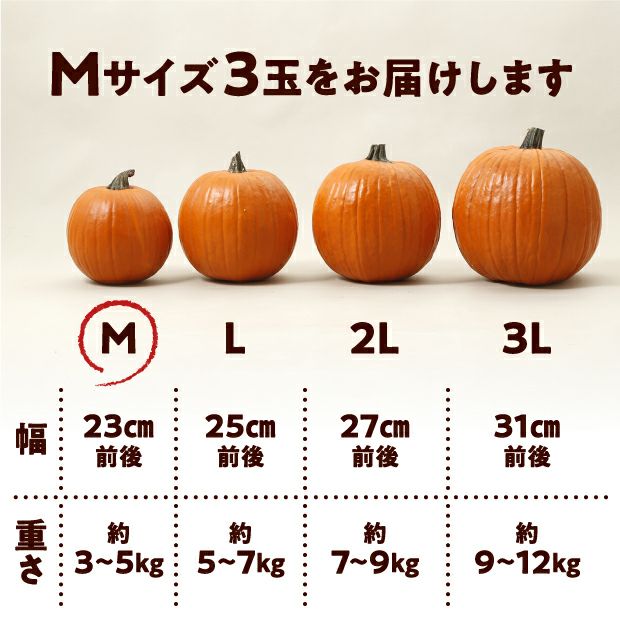 村岡農園 ハロウィンかぼちゃ　Mサイズ　3玉