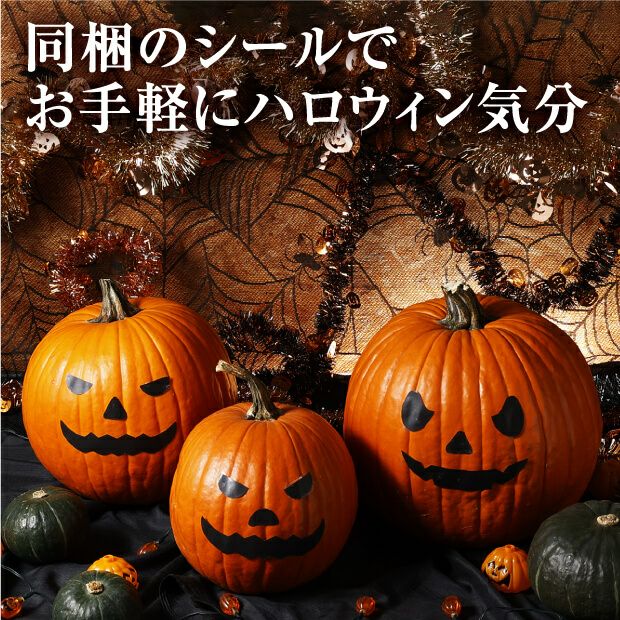 村岡農園 ハロウィンかぼちゃ　Mサイズ　3玉