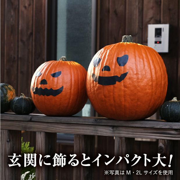 村岡農園 ハロウィンかぼちゃ　Mサイズ　3玉