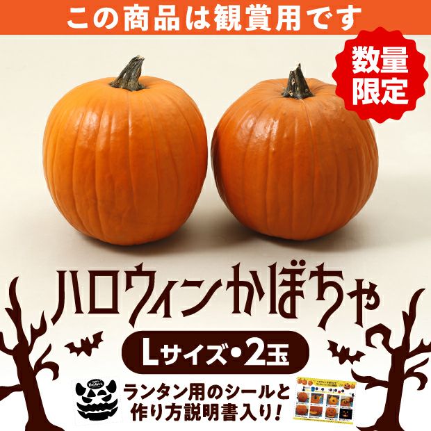 ハロウィン カボチャ顔2 ステッカー