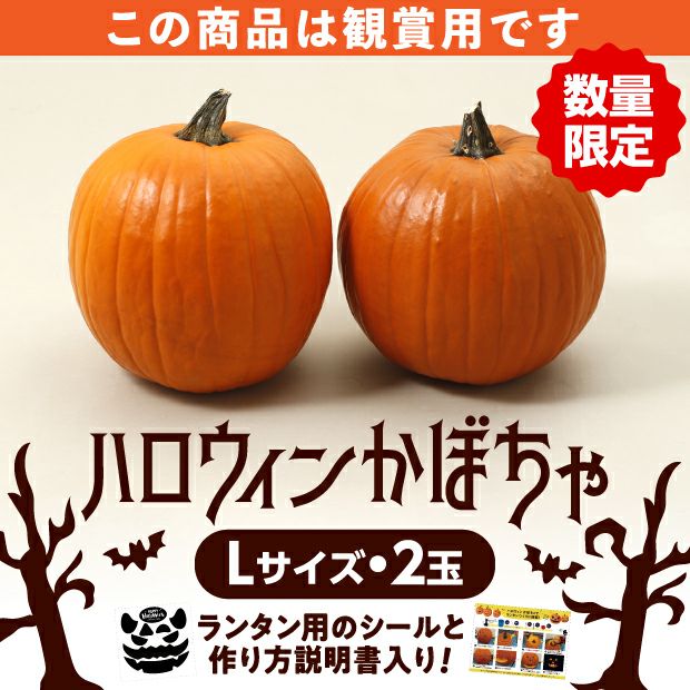 村岡農園 ハロウィンかぼちゃ　Lサイズ　2玉